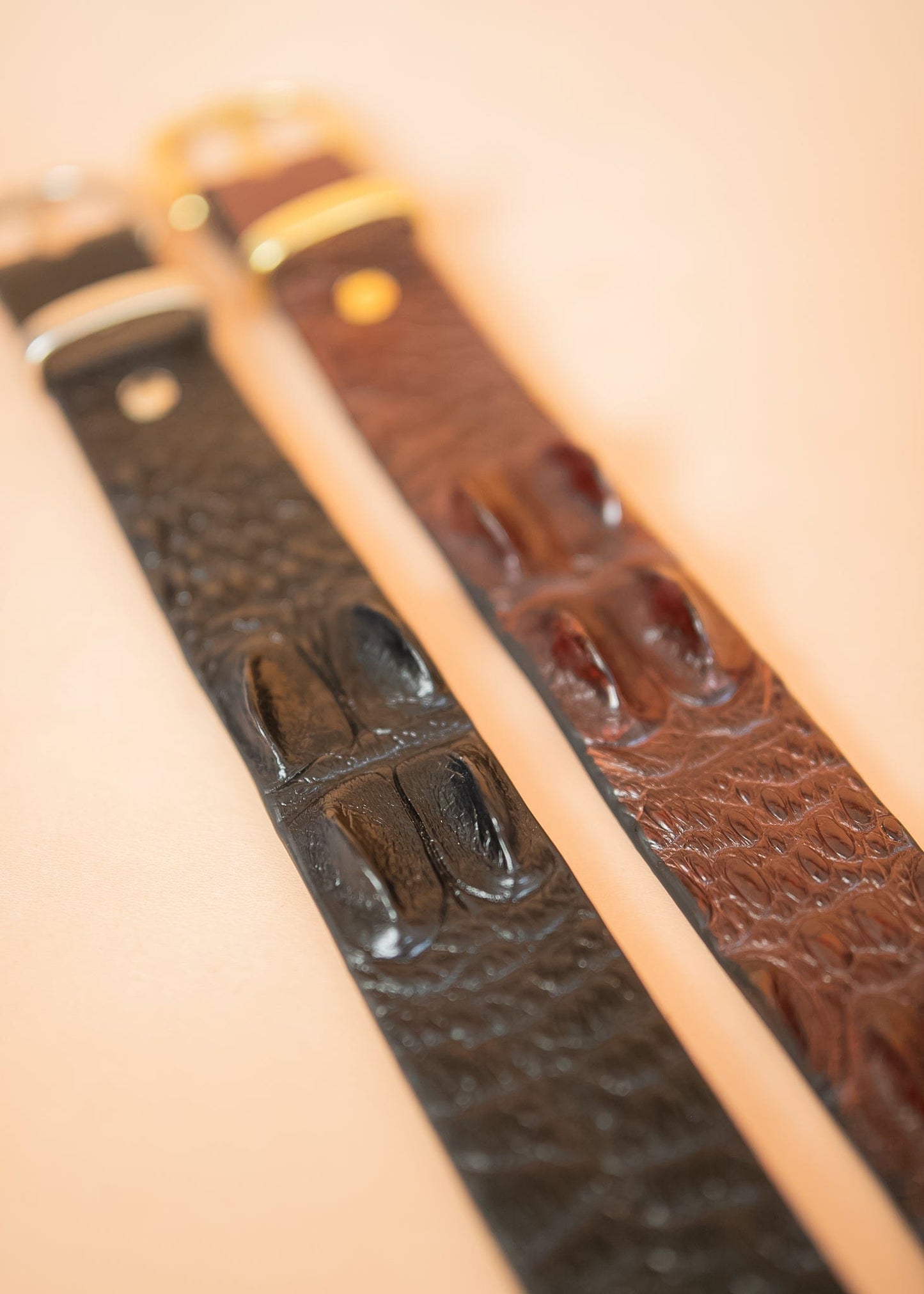 The Real McCaul Belts Genuine Croc Belt - Australian Saltwater Australian Made Australian Owned Genuine Crocodile Leather Belt- Made In Australia- Brass Buckle