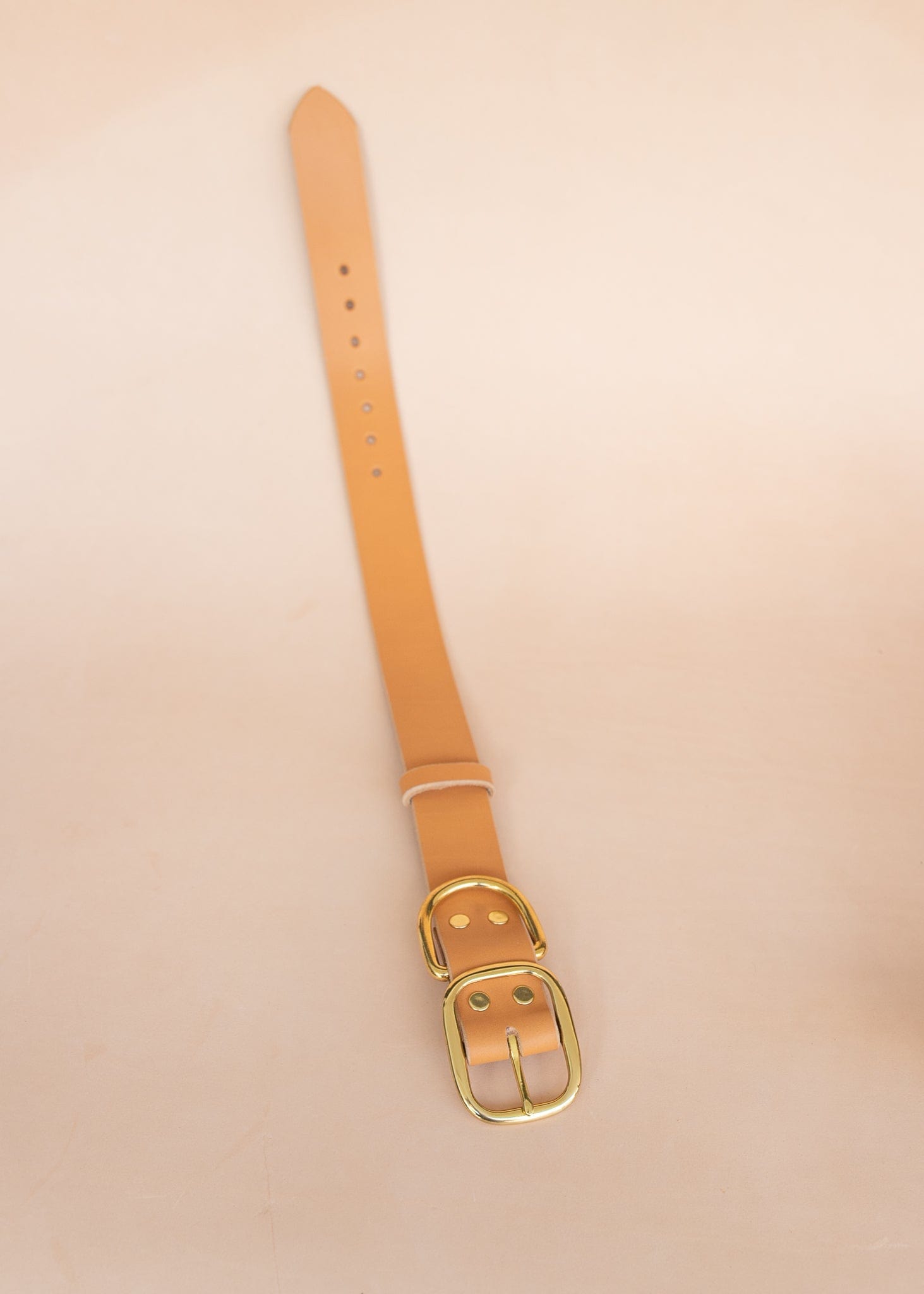 The Real McCaul Leathergoods Pet Collars & Harnesses Classic Dog Collar - 38mm - Natural Australian Made Australian Owned Leather Dog Collar with Brass Fittings- Australian Made