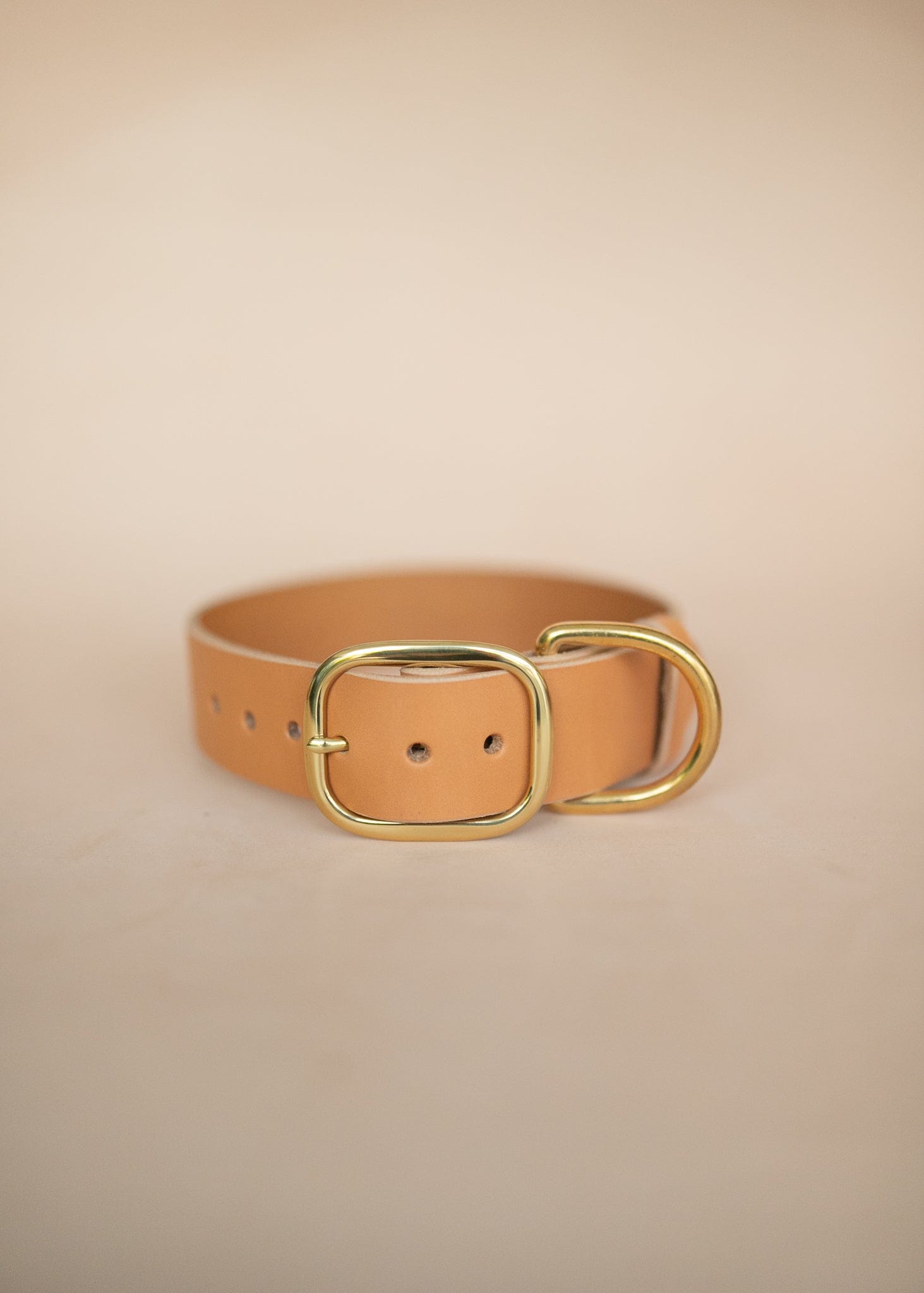 The Real McCaul Leathergoods Pet Collars & Harnesses Classic Dog Collar - 38mm - Natural Australian Made Australian Owned Leather Dog Collar with Brass Fittings- Australian Made