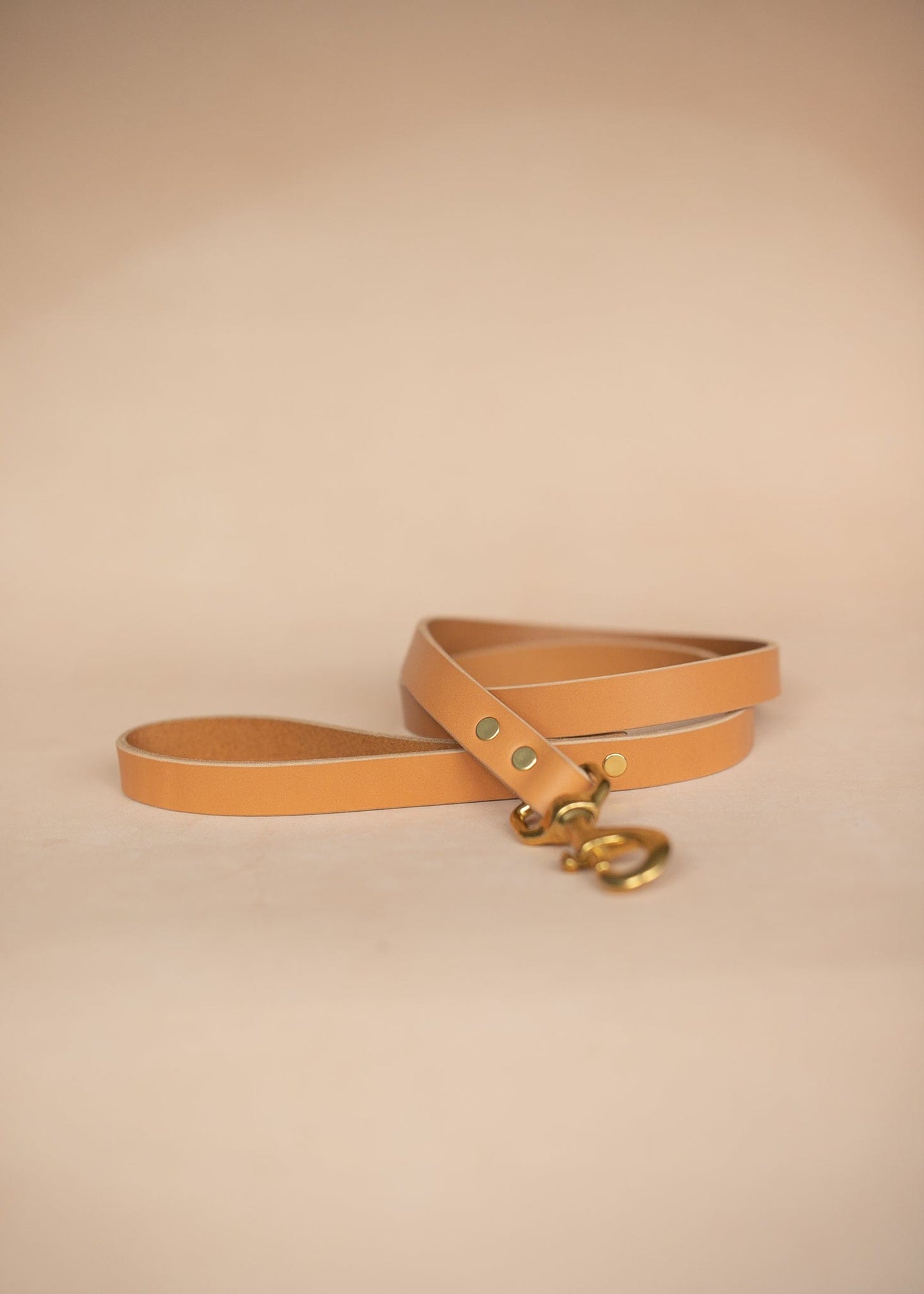 The Real McCaul Leathergoods Pet Leashes Wide Dog Leash - Natural Australian Made Australian Owned Leather Dog Collar and Lead with Brass Fittings- Australian Made