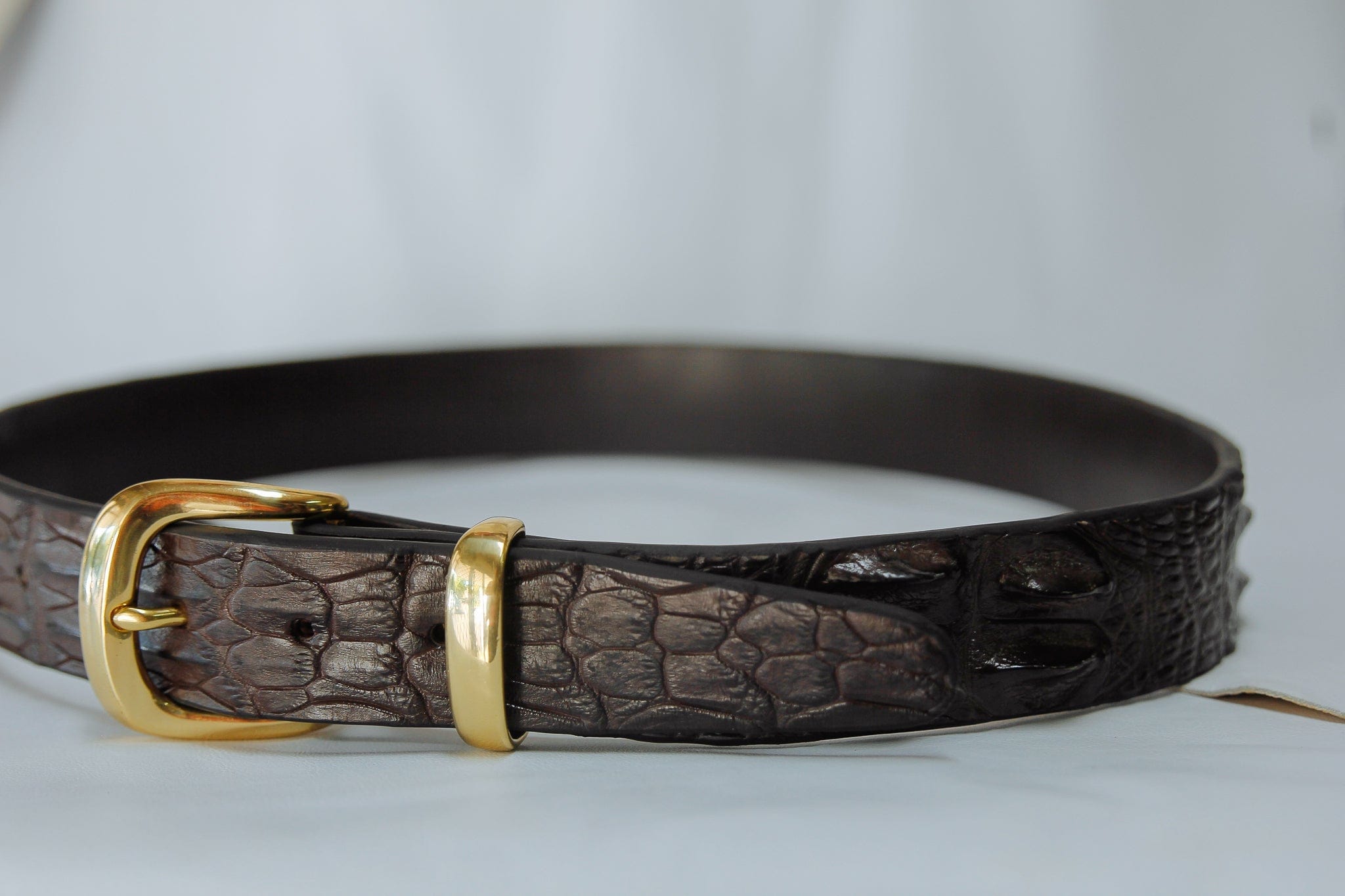 Alligator clearance belt men's