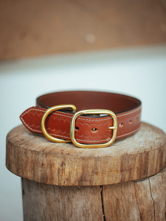 The Real McCaul Leathergoods Medium (40-49cm) / Gold Deluxe Rancher Dog Collar - 38mm - Tan Australian Made Australian Owned Leather Dog Collar with Brass Fittings- Australian Made