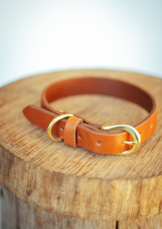 The Real McCaul Leathergoods Pet Collars & Harnesses Classic Dog Collar - 20mm - Tan Australian Made Australian Owned Leather Dog Collar with Brass Fittings- Australian Made