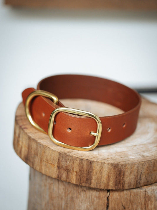 The Real McCaul Leathergoods Pet Collars & Harnesses Classic Dog Collar - 38mm - Tan Australian Made Australian Owned Leather Dog Collar with Brass Fittings- Australian Made