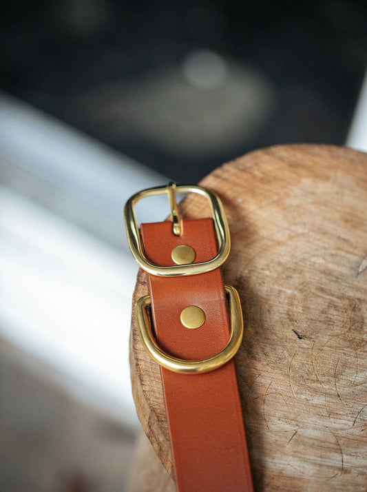 The Real McCaul Leathergoods Pet Collars & Harnesses Classic Dog Collar - 38mm - Tan Australian Made Australian Owned Leather Dog Collar with Brass Fittings- Australian Made