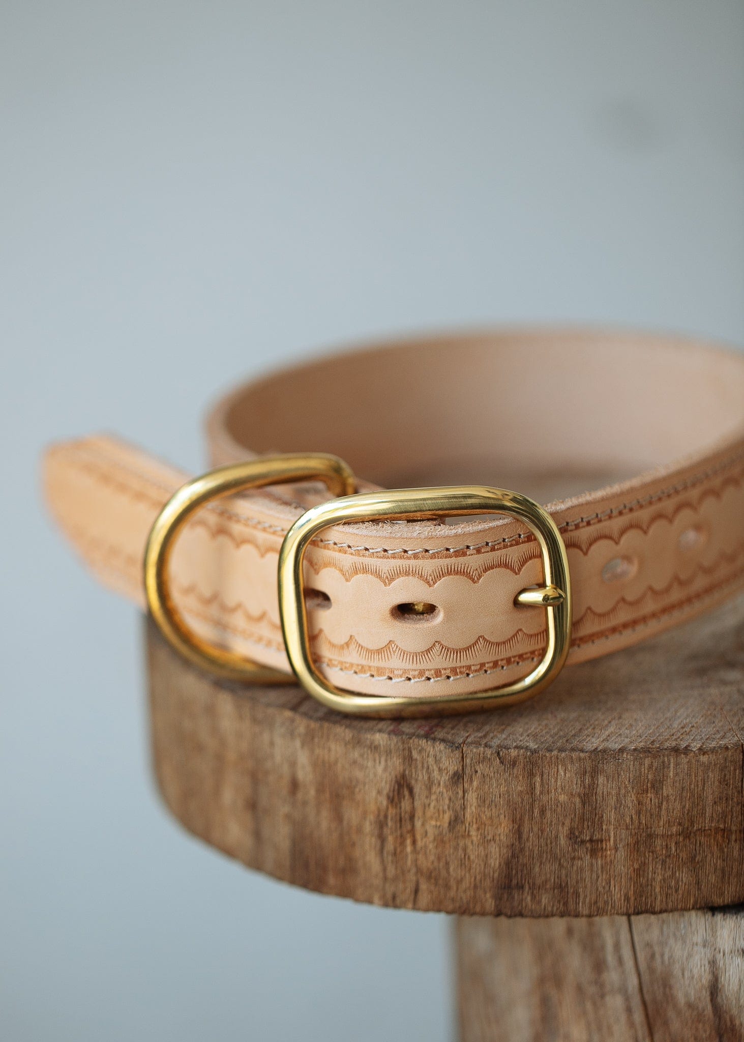 Leather Dog Collar with Brass Fittings- Australian Made – The Real ...