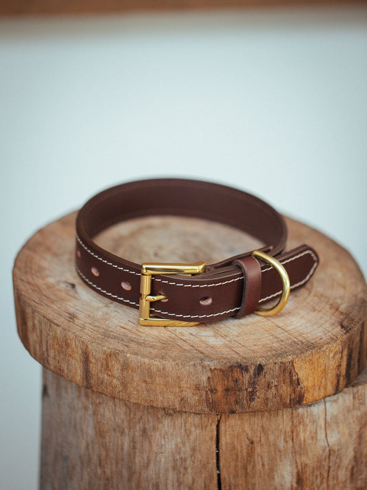 The Real McCaul Leathergoods Pet Collars & Harnesses Rancher Dog Collar - 30mm - Cognac Australian Made Australian Owned Leather Dog Collar with Brass Fittings- Australian Made