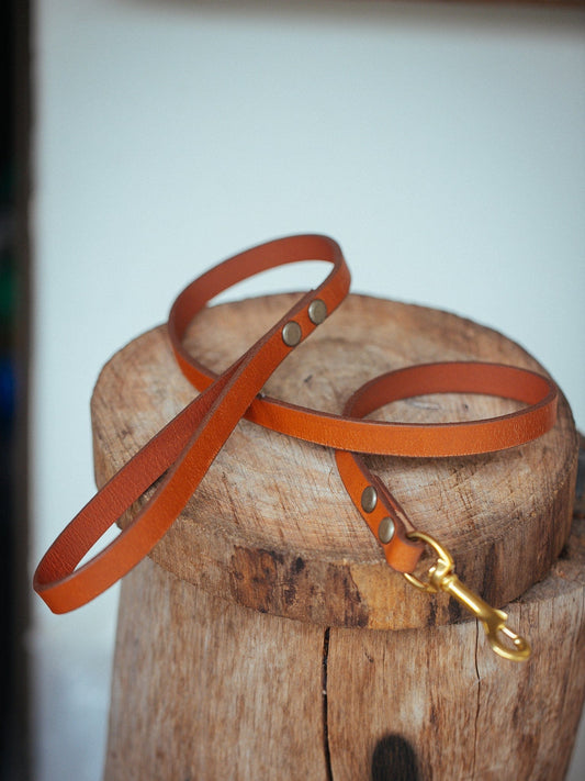 Handmade Leather Dog Collars & Leads- Australian Made – The Real McCaul  Leathergoods