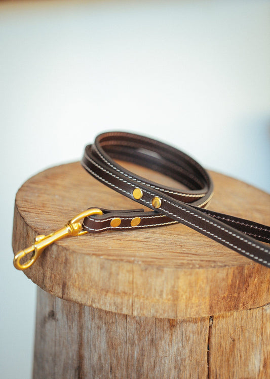 Handmade Leather Dog Collars & Leads- Australian Made – The Real McCaul  Leathergoods
